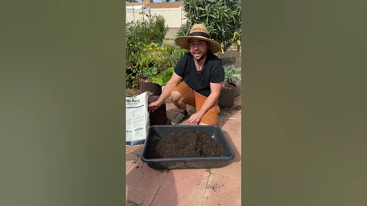 Don't Make This Container Mistake!