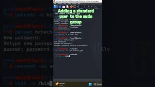 Adding a standard user  to the sudo group #linux #tutorial #hacker #hack #linuxterminal #sudo #tmux