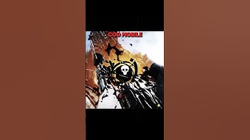 Unique Inspection In BlackOps6 Vs CODM💀.....