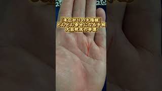 【手相】『末広がりの太陽線』どんどん幸せになる手相、大器晩成の幸運 #手相占い  #手相