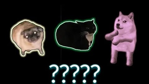 7 Maxwell The Cat and Pug and Doge Dancing Sound Variations