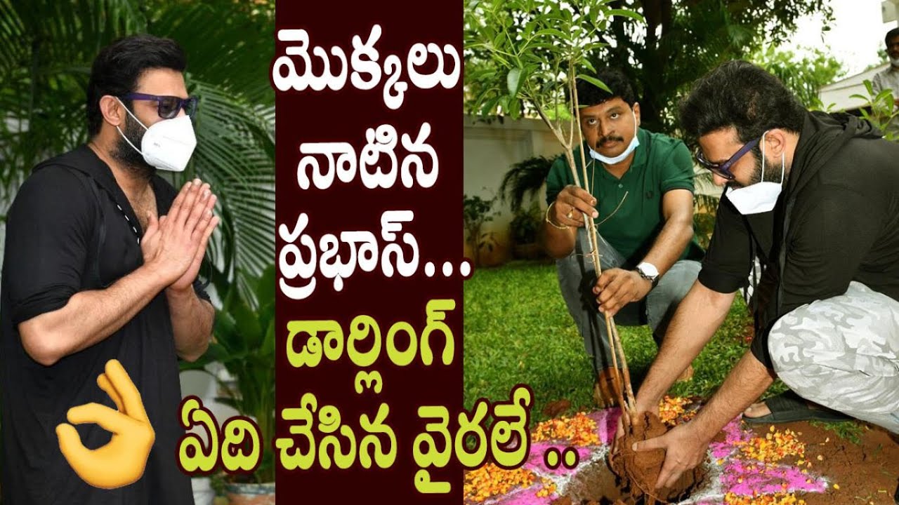 Prabhas Accepts Green India Challenge || Prabhas Plants Tree - Cinema Garage