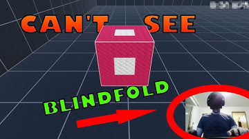 Grey-Box Testing World Record Speedrun Any% Blindfolded in 3:59.466