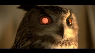 Blade Runner — The Killing Jar