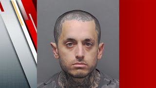 Suspect in Southwest Side kitten killing case had previous arrest for harming person, records show