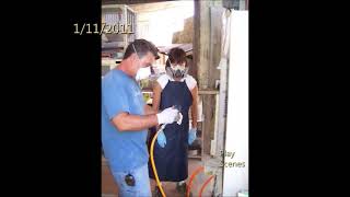 2011 HPG Slideshow