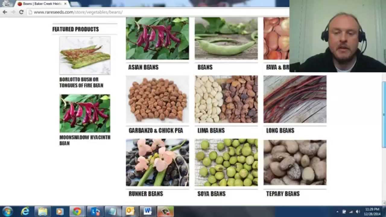 Where To Non Gmo And Heirloom Seeds You Where To Non Gmo And Heirloom Seeds
