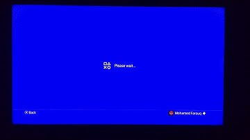 Rockstar support PSN ID/Transaction history