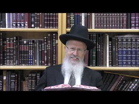 הגאון הרב אברהם יוסף שליט"א מפני מה תוקעין מיושב וחוזרים ותוקעין מעומד?