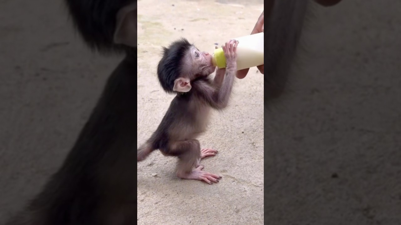 She’s Smarter Than You Think… Look at Baby Luci Now 😳