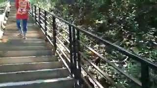 Panjang naik nya. Mbah wali kidangan