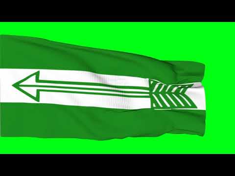 Bandiera Partito Politico Indiano 3x5FT – AITC, BJP, BSP, CPI, CPI-M, INC, JD(U), NCP – Nuova