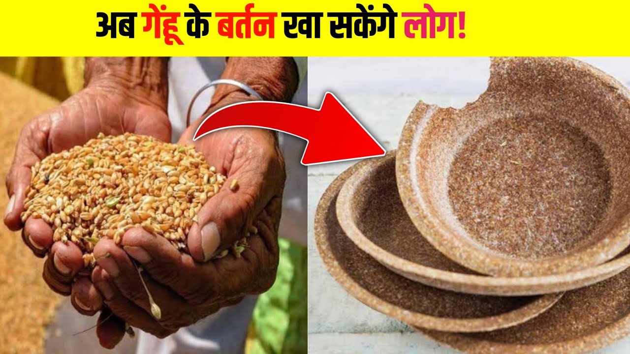 Top 10 Amazing Facts | Facts1