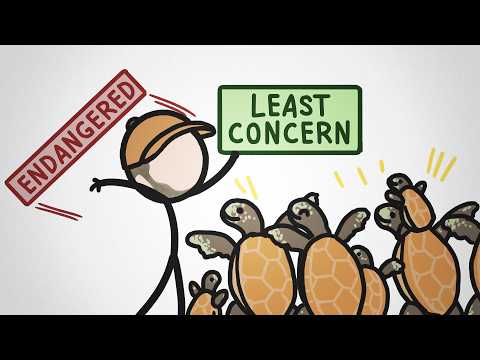 The Sea Turtle Cheat Code