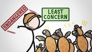 sea turtle cheat code