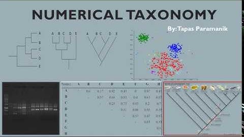 Numerical taxonomy part-1