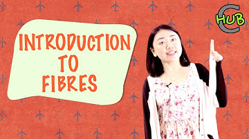 Introduction to Fibres