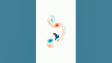 Fehmi Cirak: Self Propelling Flapper