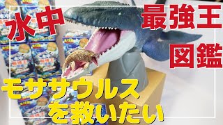 水中最強王図鑑シリーズが待望のフィギュア化！開封したら○○が多いと判明？！