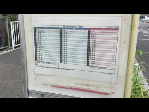 マーケットピア コメリハード グリーン 府中日新店 府中市 周辺施設 口コミ 写真 動画