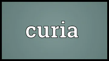 Che cosa è la curia?
