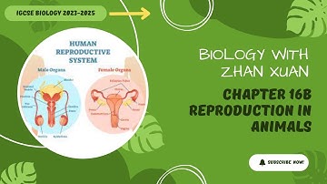 IGCSE Biology - Chapter 16 | Reproduction in Humans