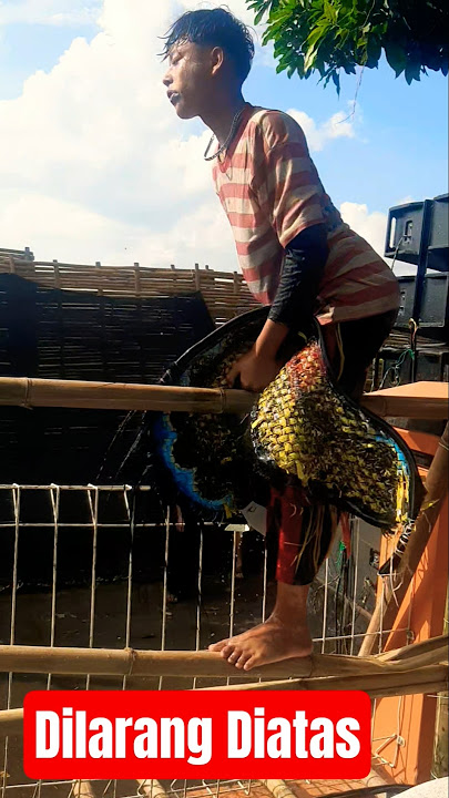 reog diatas pagar #shorts #jaranan #ndadi