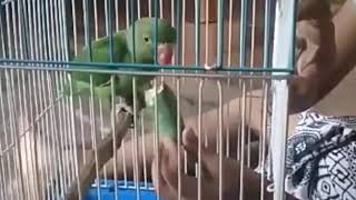 VID 20190522 WA0082
