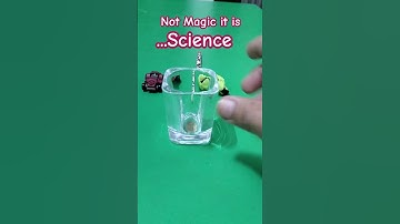 Refraction of Light Experiment  Disappearing Coin & Broken Pencil Illusion Explained