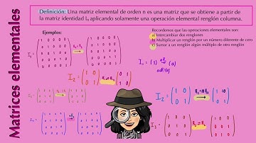 Matrices elementales