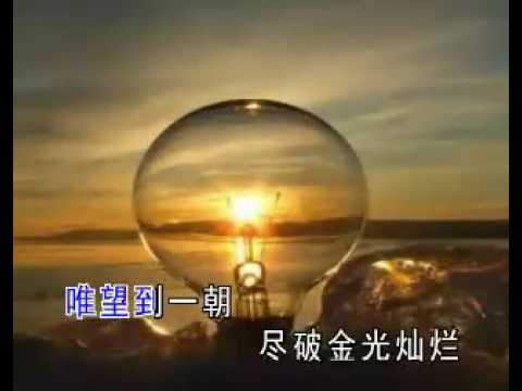网中人