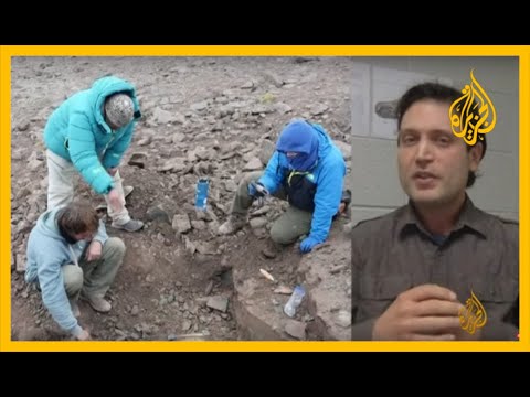 فريق علمي دولي: دلائل على أن حيوان الديناصور كان يعيش في مياه البحار قبل ملايين السنين