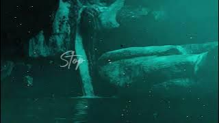 Download lagu Tyron Hapi - Waterfall