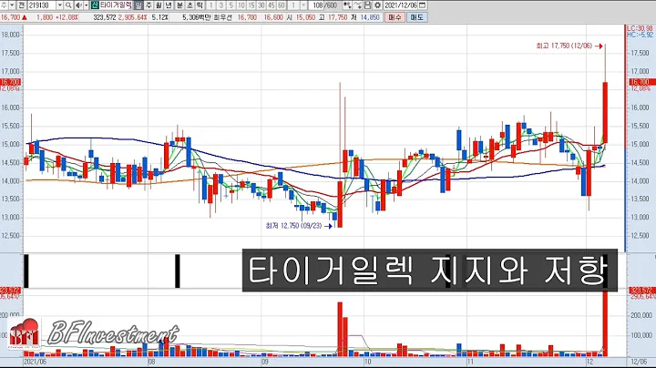 타이거일렉 (219130) 지지선과 저항선
