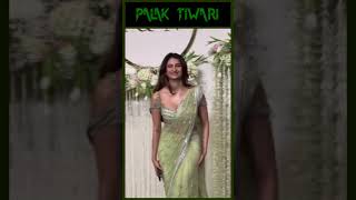 Palak Tiwari Hot Green Saree At Ira And Nupurs Special Day