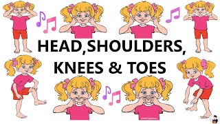 2Sınıf İngilizce Dinleme 7Ünite Track 74 Sözcü Yayın Head Shoulders Knees And Toes