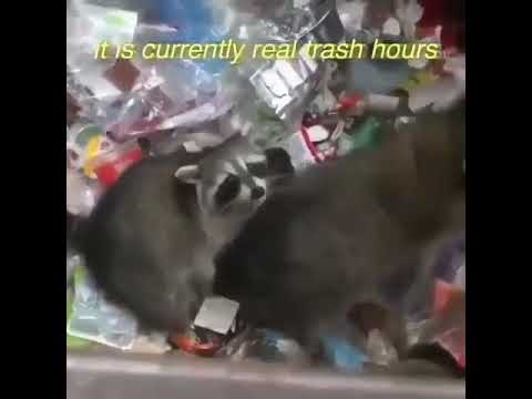 Trashman flute featuring raccoons & dumpsters
