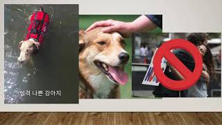 Korean final project