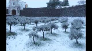 Nevão Em Elvas 10-01-10