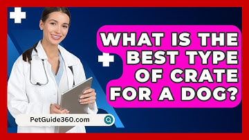 What Is The Best Type Of Crate For A Dog? - PetGuide360.com