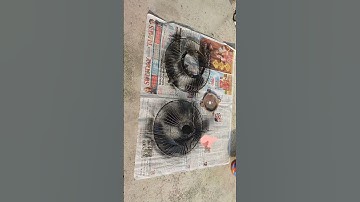rechargeable fan make it home#experiment #making #repair #jugaad #2023 #shorts #hindi