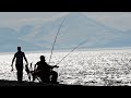 HOW TO CATCH HALIBUT FROM SHORE!!