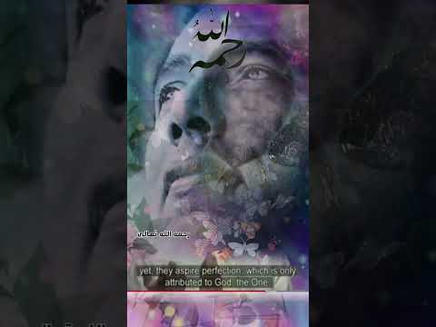 مصطفى محمود غباء الكافر     