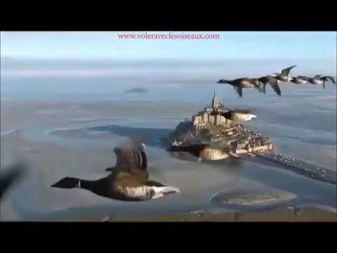 أنت تسافر وانا بموت بعرف بدك تنساني