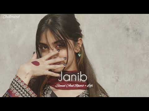 Aaye Jaaye Dil Teri Janib Arijit Singh Sunidhi Chauhan Slowed And Reverb Bollywood Lofi Song 