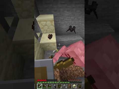 Minecraft but I