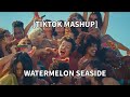 DeeM - Watermelon Seaside [TIKTOK Mashup]