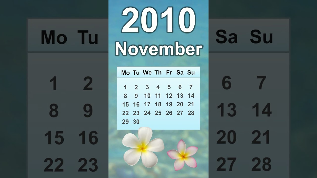 November 2010 Calendar