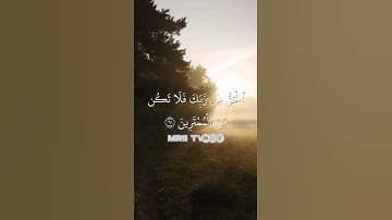 ماهر المعيقلي - سورة آل عمران ( برواية حفص عن عاصم ) الأية 60