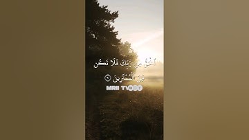 ماهر المعيقلي - سورة آل عمران ( برواية حفص عن عاصم ) الأية 60